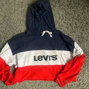 Levi's Cropped Hoodie